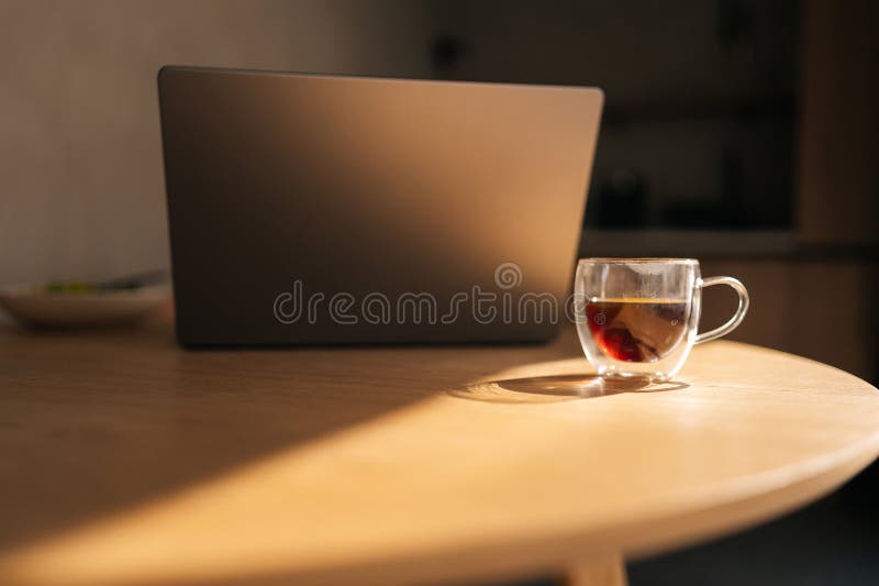 Closeup of transparent coffee cup and laptop on office desk in startup space and sunlight. Hot beverage on table in empty business workplace. Drink in glass mug on furniture and computer, no people. Closeup of transparent coffee cup and laptop on office desk in startup space and sunlight. Hot beverage on table in empty business workplace. Drink in glass mug on furniture and computer, no people.