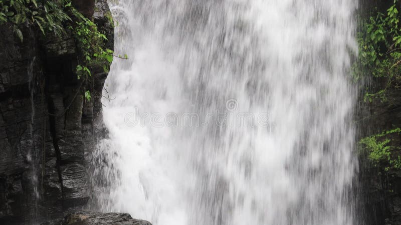 Fermeture des vagues dans le large flux au milieu de la cascade banque de vidéos