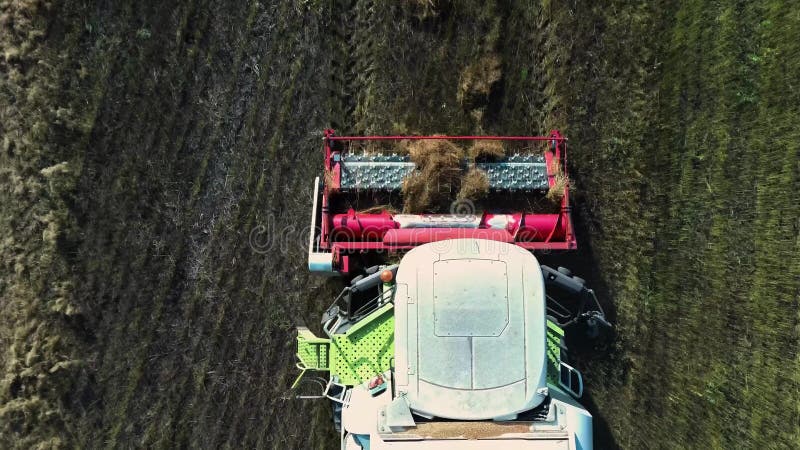 Fermeture La moissonneuse-batteuse aérienne ramasse le blé mûr en laissant derrière elle un nuage de poussière dans un champ de b