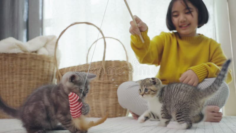 Fermez Joli enfant asiatique jouant avec des chatons en mouvement lent