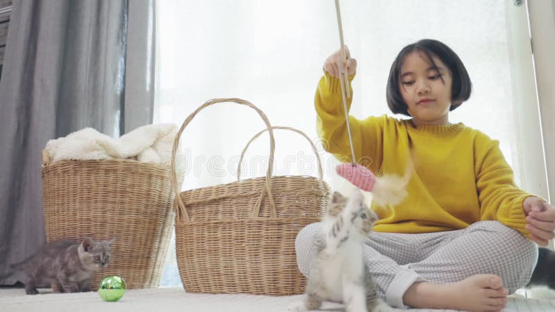 Fermez la belle enfant asiatique jouant avec des chatons