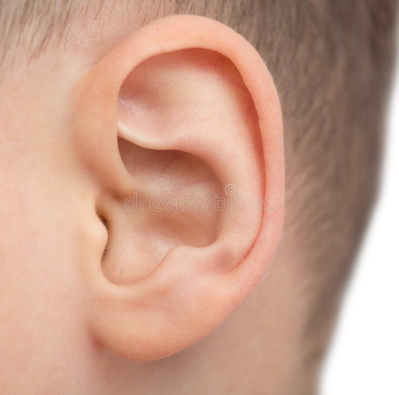 Fermez-vous de l'oreille masculine photos stock Fermez-vous de l'oreille masculine photos stock