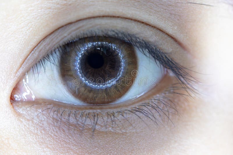 Fermez-vous de la belle lentille de contact visuel de femme photo libre de droits Fermez-vous de la belle lentille de contact visuel de femme photo libre de droits