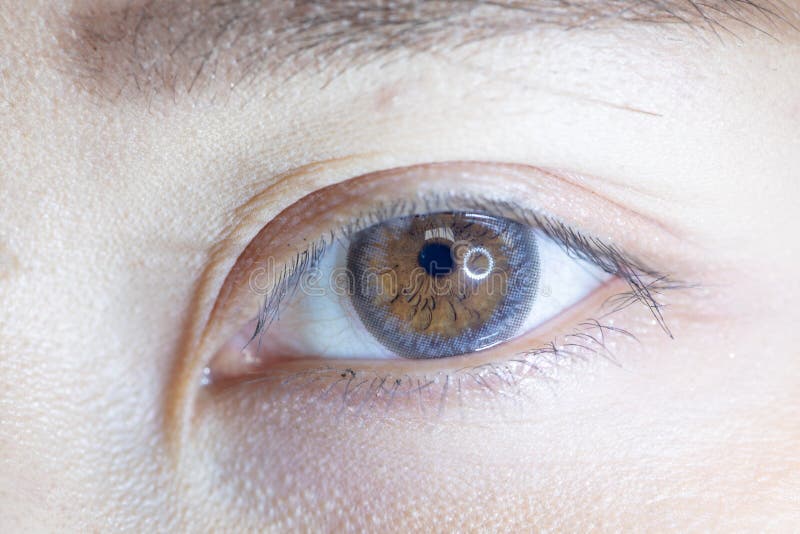 Fermez-vous de la belle lentille de contact visuel de femme photos libres de droits Fermez-vous de la belle lentille de contact visuel de femme photos libres de droits