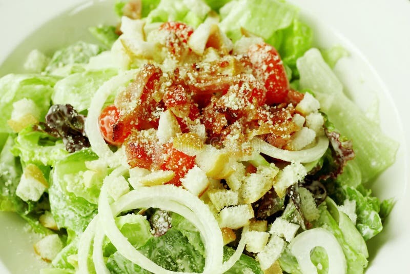 Fermez-vous de la salade de César dans la cuvette blanche photographie stock libre de droits
