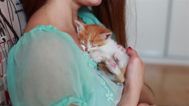Fermez-vous du minou mignon chez des mains du ` s de la femme banque de vidéos