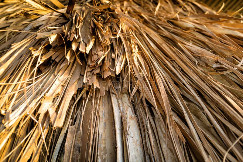 Fermez-vous du toit couvert de chaume sur la hutte africaine traditionnelle, Kenya photos libres de droits Fermez-vous du toit couvert de chaume sur la hutte africaine traditionnelle, Kenya photos libres de droits