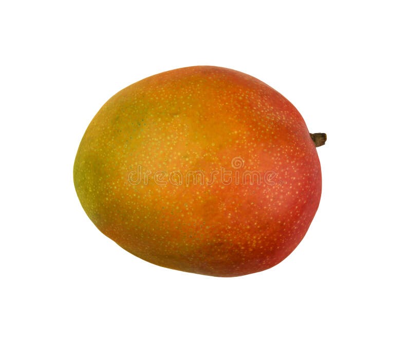 Fermez-vous vers le haut d'une mangue jaune entière d'isolement sur le blanc photo libre de droits Fermez-vous vers le haut d'une mangue jaune entière d'isolement sur le blanc photo libre de droits