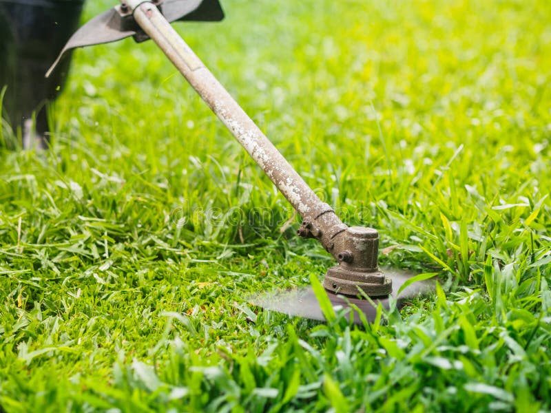 Fermez-vous vers le haut de l'homme fauchant l'herbe Concept de jardinage photographie stock libre de droits Fermez-vous vers le haut de l'homme fauchant l'herbe Concept de jardinage photographie stock libre de droits
