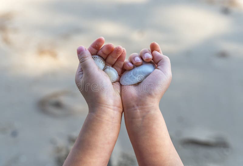 Fermez-vous vers le haut de la main du ` s d'enfant tenant le coquillage image stock Fermez-vous vers le haut de la main du ` s d'enfant tenant le coquillage image stock