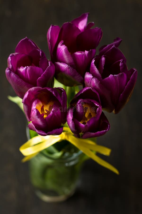 Fermez-vous vers le haut des tulipes avec des sucreries photographie stock Fermez-vous vers le haut des tulipes avec des sucreries photographie stock