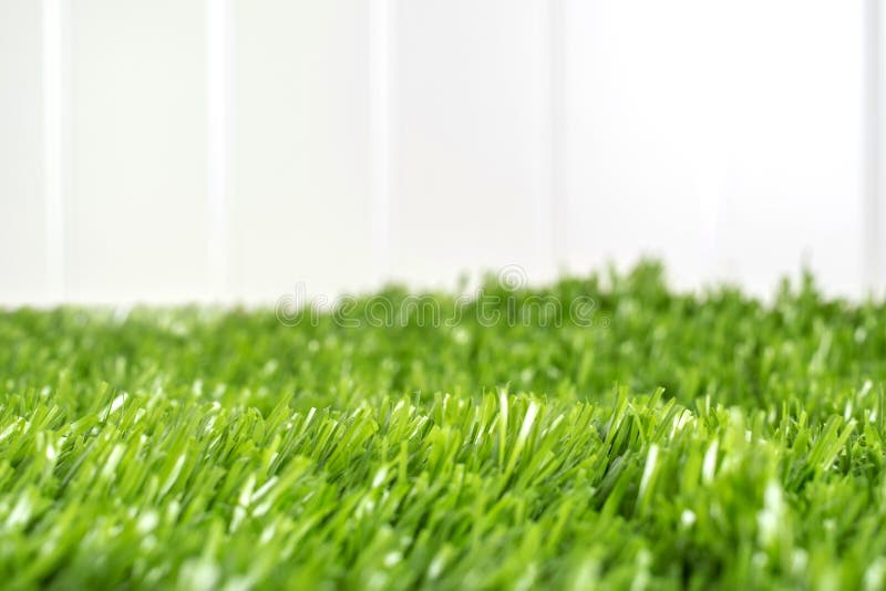 Fermez-vous vers le haut du champ d'herbe verte à la barrière blanche dans l'arrière-cour, jardin, fond de nature images libres de droits Fermez-vous vers le haut du champ d'herbe verte à la barrière blanche dans l'arrière-cour, jardin, fond de nature images libres de droits