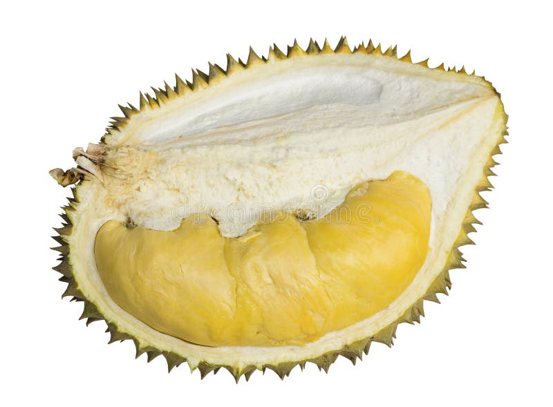 Fermez-vous vers le haut du durian enlevé d'isolement sur le fond blanc photographie stock Fermez-vous vers le haut du durian enlevé d'isolement sur le fond blanc photographie stock