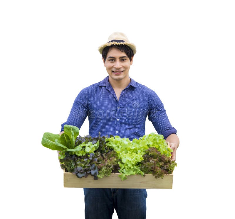 Fermier asiatic local care deține tăvi de legume organice izolate pe fond alb, cu un traseu de tăiere pentru vegetarieni sănătoși royalty free stock photography