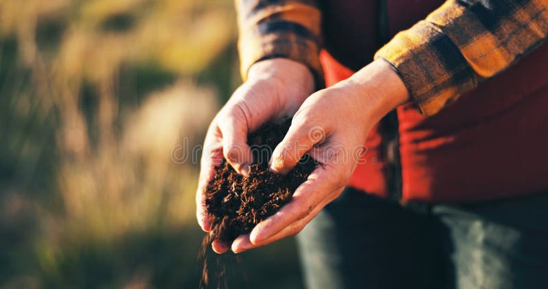 Fermier pentru mâini și în exterior pentru testul solului cu nutrienți pentru echilibrul pectorali și inspecția pentru sezonul de stock photography