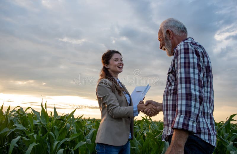 Fermier și femeie de afaceri care dau mâna pe teren royalty free stock photos