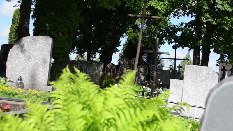 Fern grave stone cross