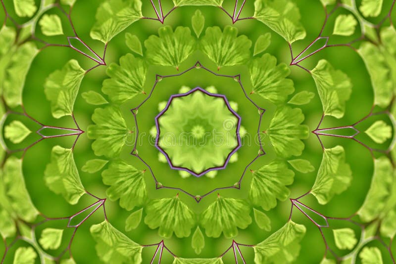 fern ogród abstrakcyjne ilustracji fern ogród abstrakcyjne ilustracji