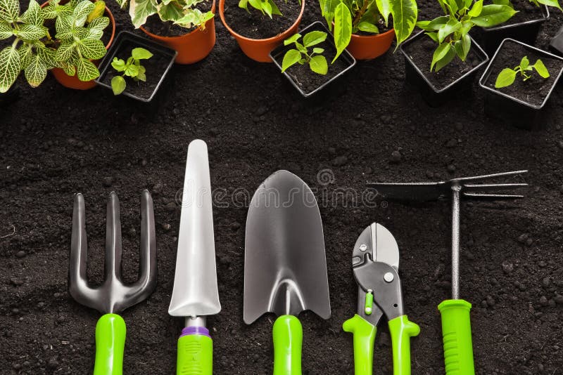 Ferramentas e plantas de jardinagem imagens de stock Ferramentas e plantas de jardinagem imagens de stock