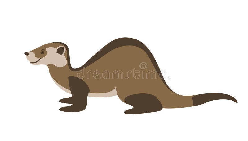 Ferret vector illustration, flat style, profile royalty free illustration.