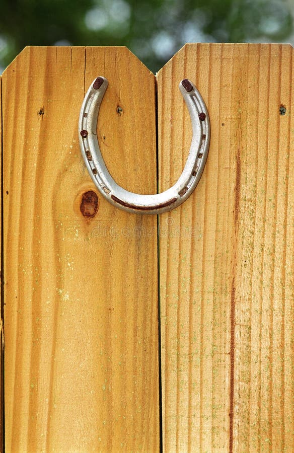 Cosa Sono I Chiodi A Ferro Di Cavallo E Quale Ruolo Svolgono In - Foto 8