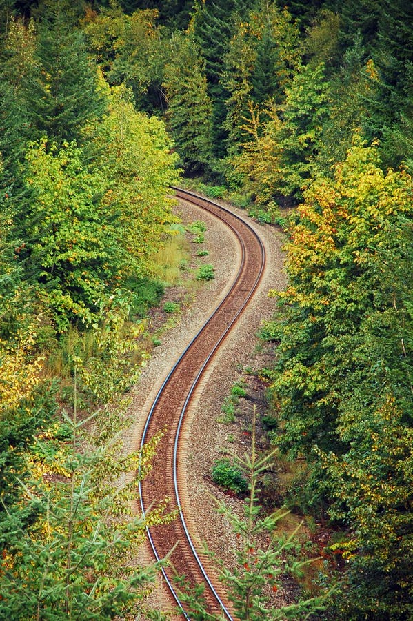 Ferrovia della foresta fotografia stock libera da diritti Ferrovia della foresta fotografia stock libera da diritti