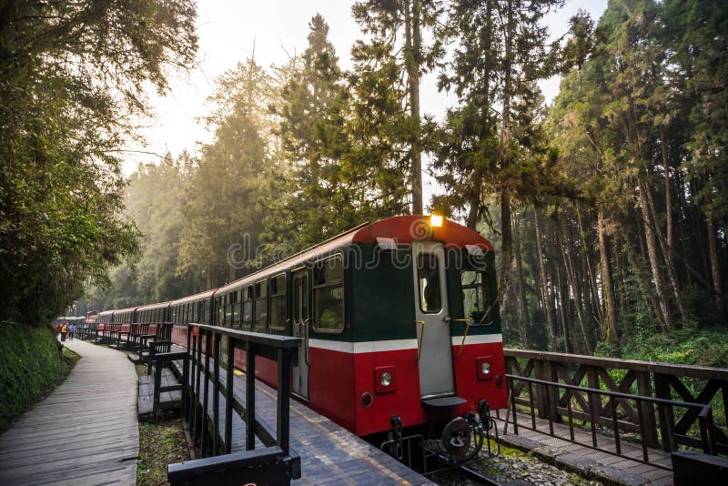Ferrovia della foresta di Alishan