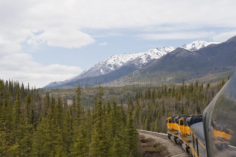 Ferrovia in regione selvaggia d'Alasca