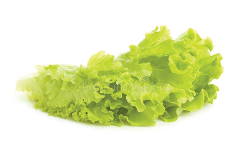 Fersh lettuce