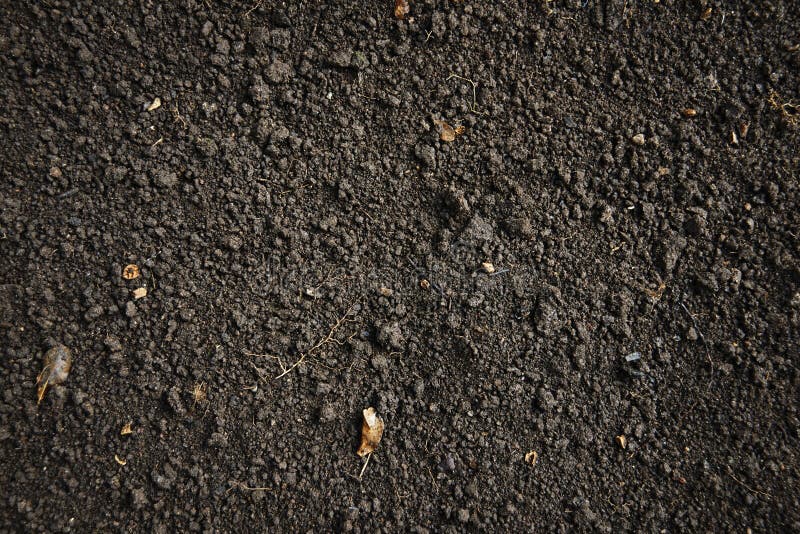 Fertile Land And Barren Land Stock Image Image of dirt, hill 24805301