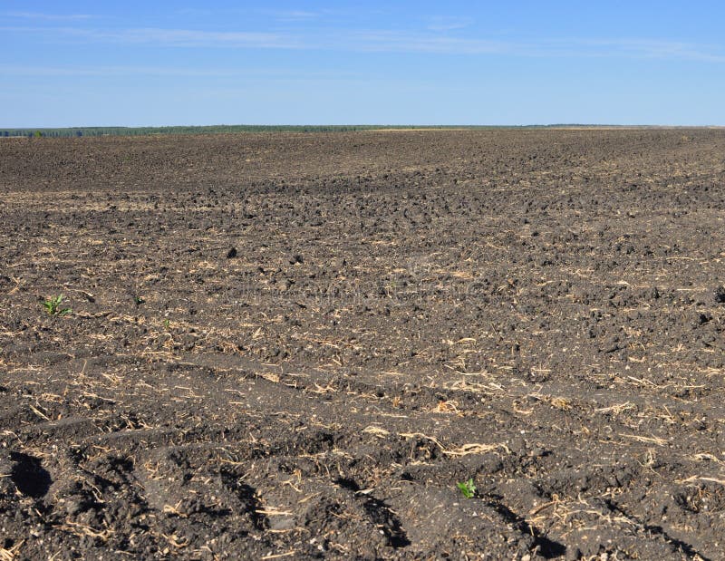 Fertile, plowed soil of an agricultural field