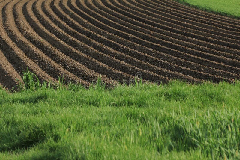 fertile-soil-as-basis-functional-agricultural-cultivation-agriculture-themed-background-freshly-ploughed-field-113632304.jpg