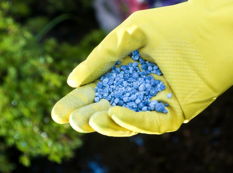 Download Fertilizer stock image. Image of phosphate, chemical, blue - 6046503