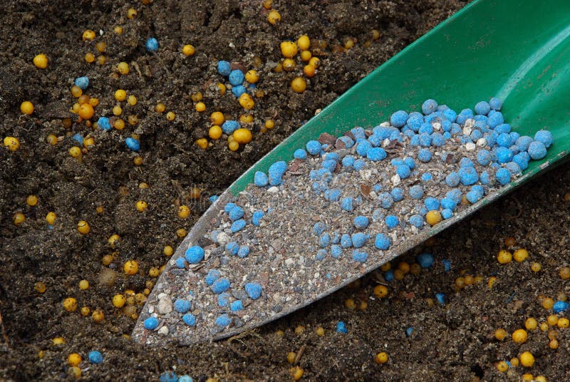 Fertilizzante Autunnale Per Conifere - 3 Kg, Minerale, Per Siepi E Alberi - Foto 6