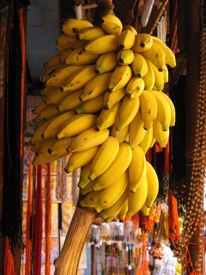 Ferveur de banane photo stock Ferveur de banane photo stock