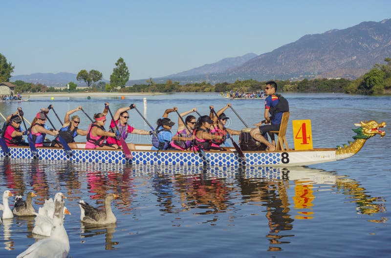 Festival De Bateau De Dragon Chez Santa Fe Dam Recreation Area Photo