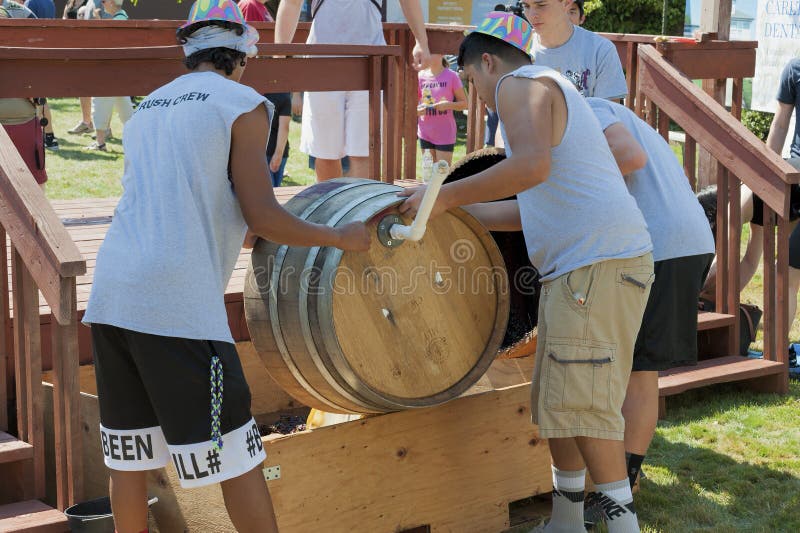 Festival de la cosecha del agolpamiento del vino en Carlton Oregon foto de archivo Festival de la cosecha del agolpamiento del vino en Carlton Oregon foto de archivo