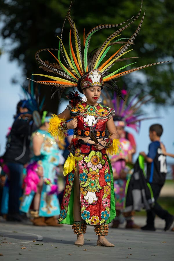 Festival del verano indio imagen editorial. Imagen de abatido 126137950