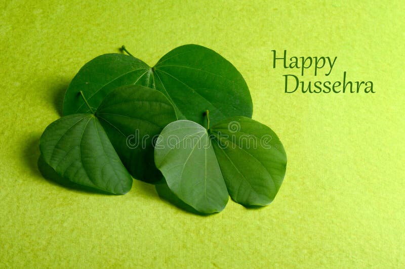 Festival indiano Dussehra, mostrando a folha dourada imagens de stock royalty free Festival indiano Dussehra, mostrando a folha dourada imagens de stock royalty free
