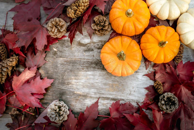 Festive autumn decor from pumpkins, pine and leaves on a  wooden background. Concept of Thanksgiving day or Halloween. Flat lay