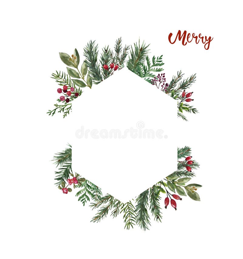 Watercolor christmas of winter greenery branch Vector Image