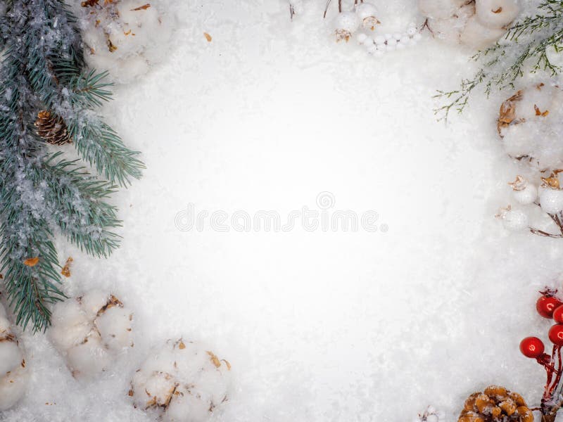 Festive winter flat lay. Snow, cones and branches of a green Christmas tree on a white background