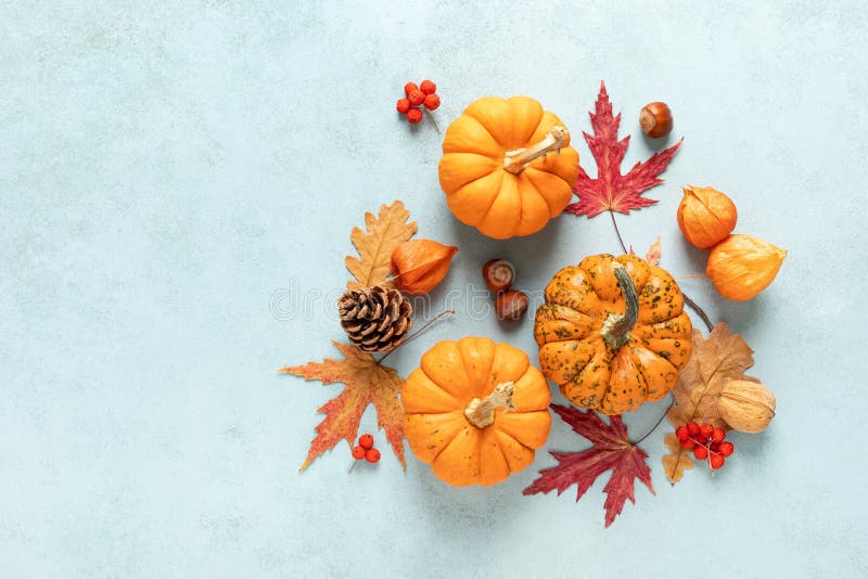 Festliche Herbstkürkins-Dekoration mit Herbstblättern, Beeren, Nüsse auf blauem Hintergrund Erntedanktag oder halloween Feiertag, stockfoto Festliche Herbstkürkins-Dekoration mit Herbstblättern, Beeren, Nüsse auf blauem Hintergrund Erntedanktag oder halloween Feiertag, stockfoto