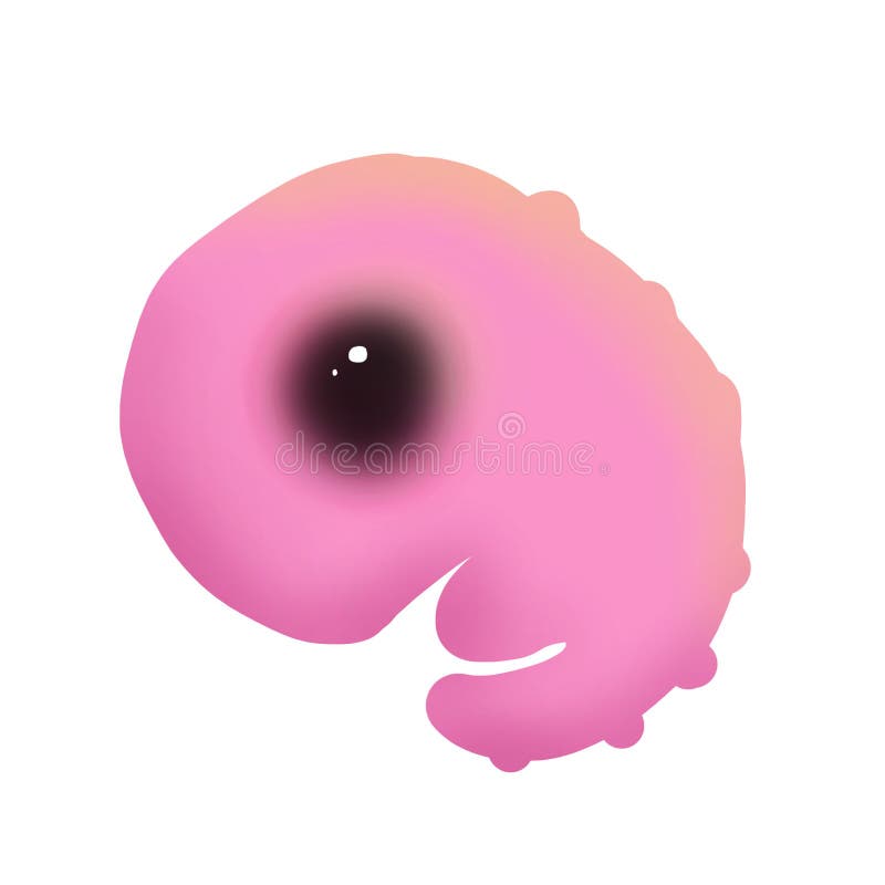 Feto la creatura più innocente illustrazione vettoriale Feto la creatura più innocente illustrazione vettoriale