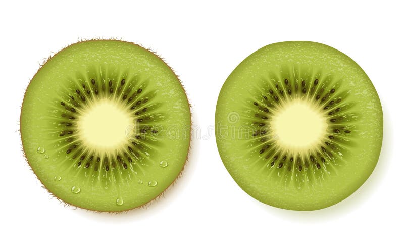 Fetta del kiwi royalty illustrazione gratis