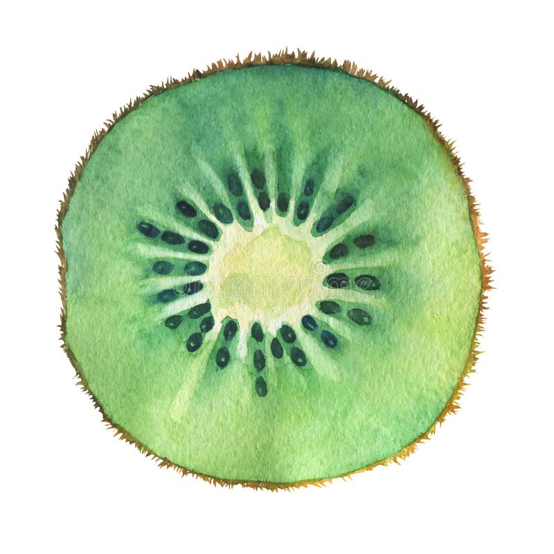 Fetta di kiwi fresco royalty illustrazione gratis