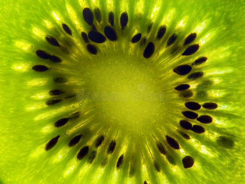 Fetta di primo piano del kiwi Macro colpo immagine stock libera da diritti Fetta di primo piano del kiwi Macro colpo immagine stock libera da diritti