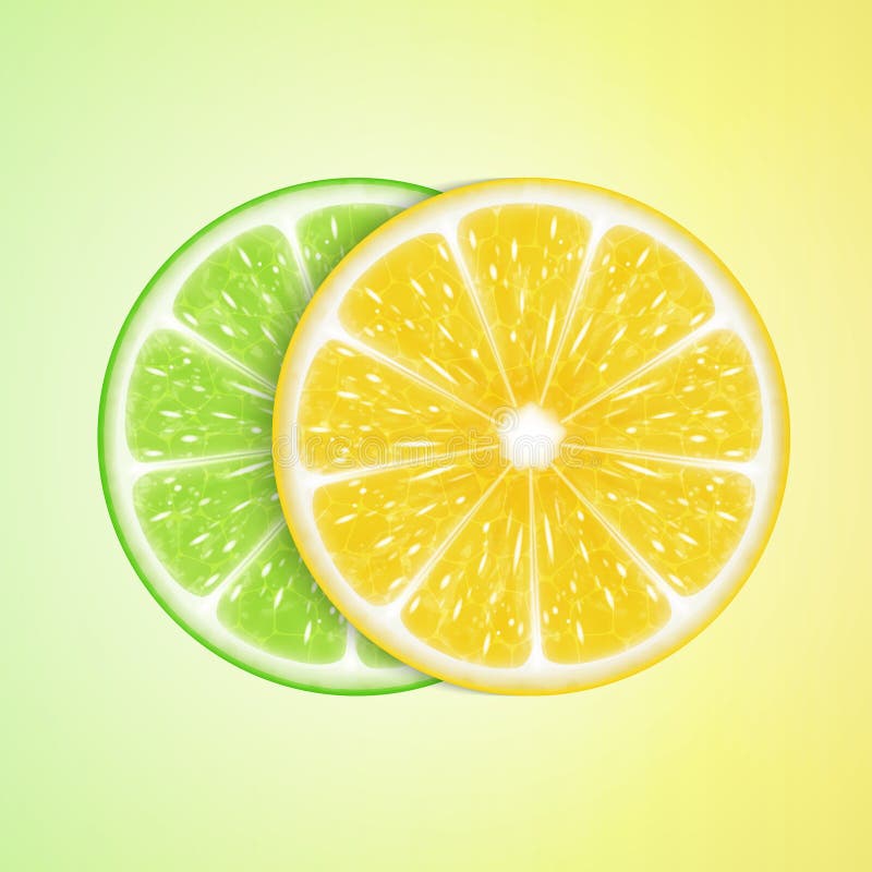 Fette della limetta e del limone illustrazione vettoriale Fette della limetta e del limone illustrazione vettoriale