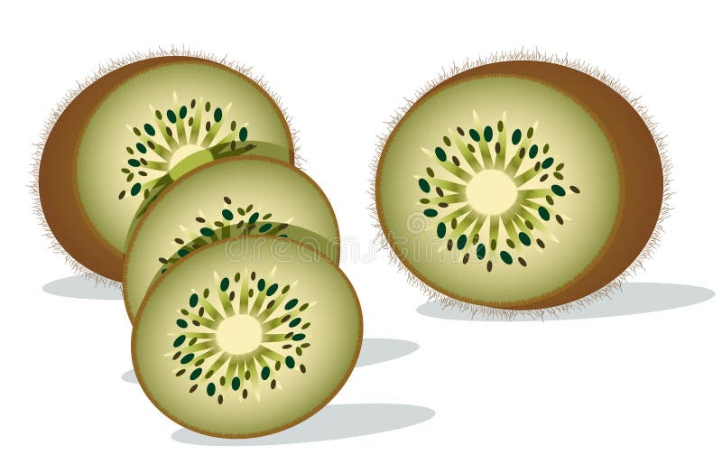 Fette di frutta di kiwi illustrazione di stock