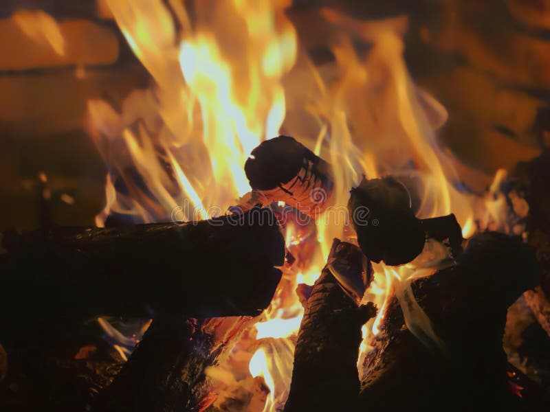 Cheminée électrique Avec L'imitation De La Flamme Et Du Bois De Chauffage  Photo stock - Image du incendie, firewood: 141959722